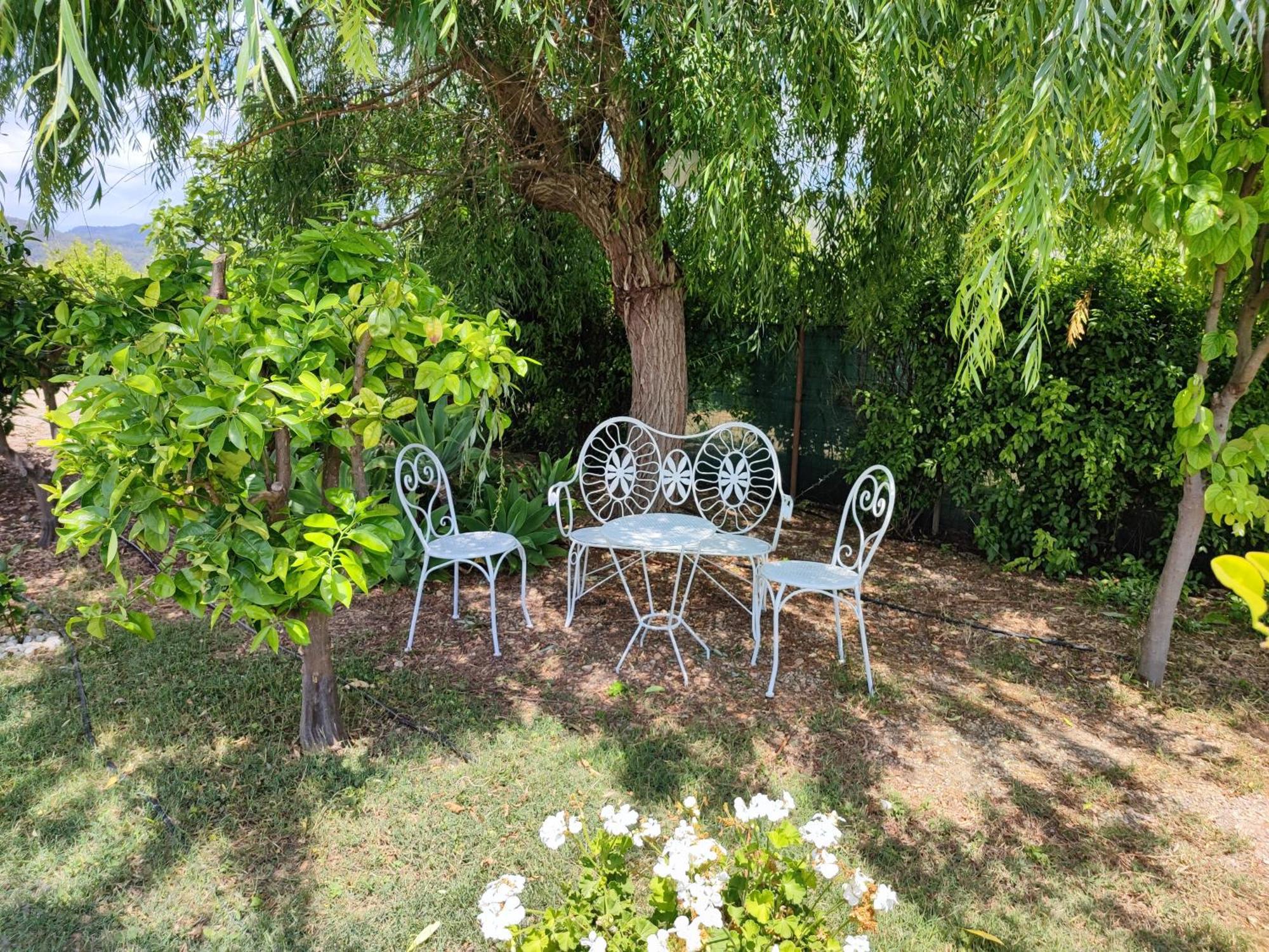 Villa Els Tarongers Perfect For Families Or Friends Sa Pobla Exterior foto